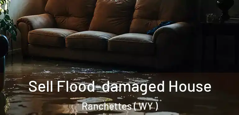  Sell Flood-damaged House Ranchettes ( WY )