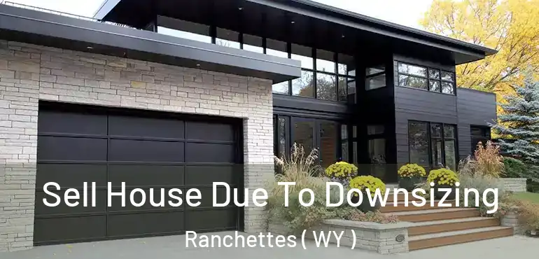  Sell House Due To Downsizing Ranchettes ( WY )