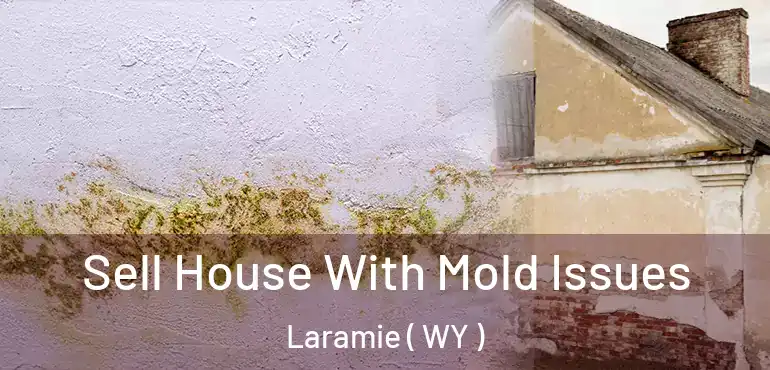  Sell House With Mold Issues Laramie ( WY )