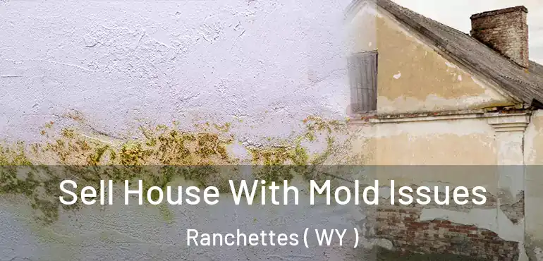  Sell House With Mold Issues Ranchettes ( WY )