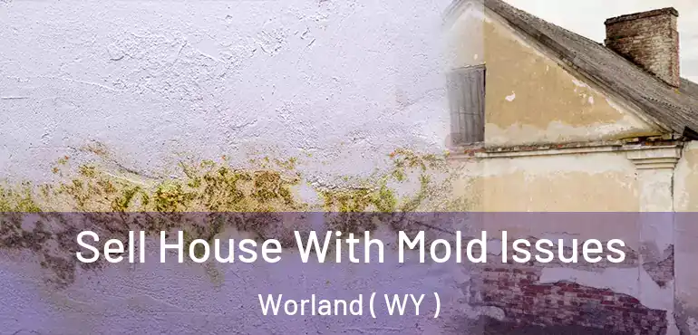  Sell House With Mold Issues Worland ( WY )