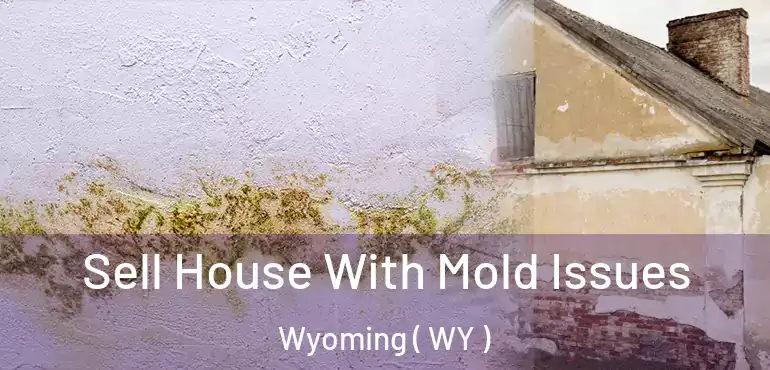  Sell House With Mold Issues Wyoming ( WY )